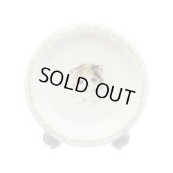 画像1: にゃんコレ パン皿 【Ｎ７】エキゾチックショートヘア