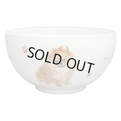 画像1: どんぶり　【Ｓ２０】ポメラニアン