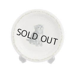 画像1: にゃんコレ パン皿 【Ｎ３】スコティッシュフォールド