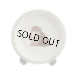 画像1: にゃんコレ パン皿 【Ｎ４】チンチラ