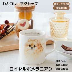 画像1: わんコレ　マグカップ　【Ｇ２】ロイヤル ポメラニアン