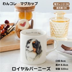 画像1: わんコレ　マグカップ　【Ｇ１３】ロイヤル バーニーズ