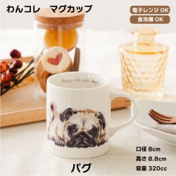 画像1: わんコレ　マグカップ　【Ｓ７】パグ