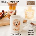 わんコレ　マグカップ　【Ｓ１７】ゴールデン