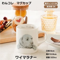 画像1: わんコレ　マグカップ　【Ｓ１８】ワイマラナー