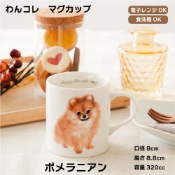 画像1: わんコレ　マグカップ　【Ｓ２０】ポメラニアン