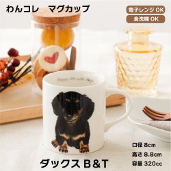 画像1: わんコレ　マグカップ　【Ｓ２３】ダックスＢ＆Ｔ