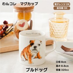 画像1: わんコレ　マグカップ　【Ｓ３４】ブルドック