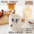わんコレ　マグカップ　【Ｓ３６】ボストンテリア