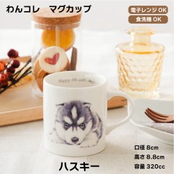 画像1: わんコレ　マグカップ　【Ｓ３９】ハスキー