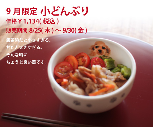 わんコレ 9月限定 小どんぶり