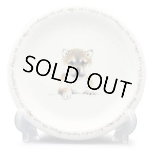 画像: わんコレ　パン皿