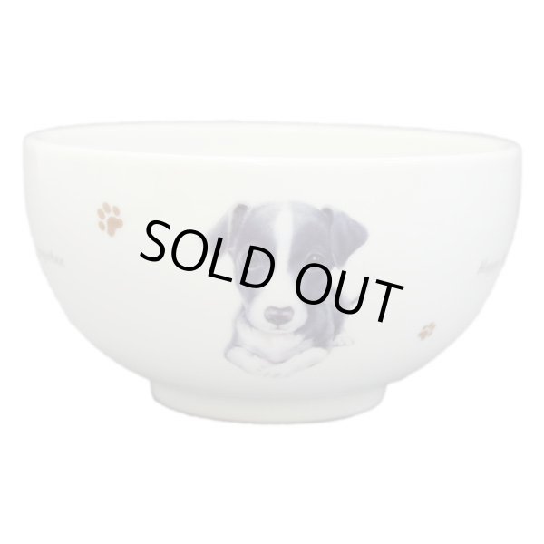 画像1: どんぶり　【Ｓ４３】イタリアングレーハウンド