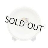 画像: にゃんコレ パン皿 【Ｎ７】エキゾチックショートヘア