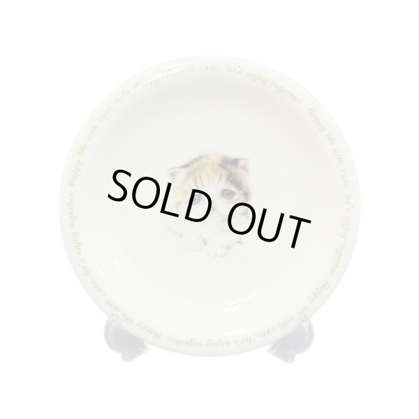 画像1: にゃんコレ パン皿 【Ｎ７】エキゾチックショートヘア