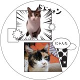 画像: オンリー・ワン・漫画風プレート