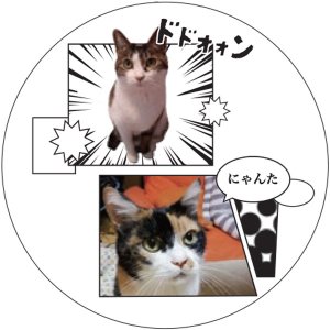 画像: オンリー・ワン・漫画風プレート