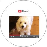 画像: オンリー・ワン・動画サイト風プレート