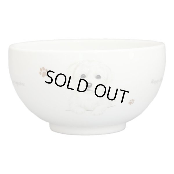 画像1: どんぶり　【Ｓ２５】マルチーズ