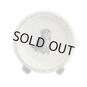 画像: にゃんコレ パン皿 【Ｎ３】スコティッシュフォールド