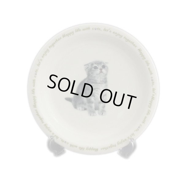 画像1: にゃんコレ パン皿 【Ｎ３】スコティッシュフォールド