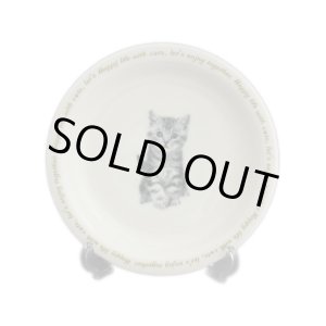 画像: にゃんコレ パン皿 【Ｎ１】アメリカンショートヘア