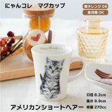 画像: にゃんコレ マグカップ 【Ｎ１】アメリカンショートヘア