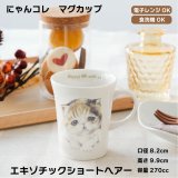 画像: にゃんコレ マグカップ 【Ｎ７】エキゾチックショートヘア