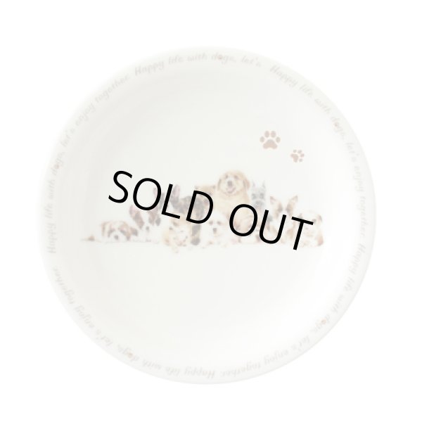 画像1: わんコレ 集合A組 パン皿