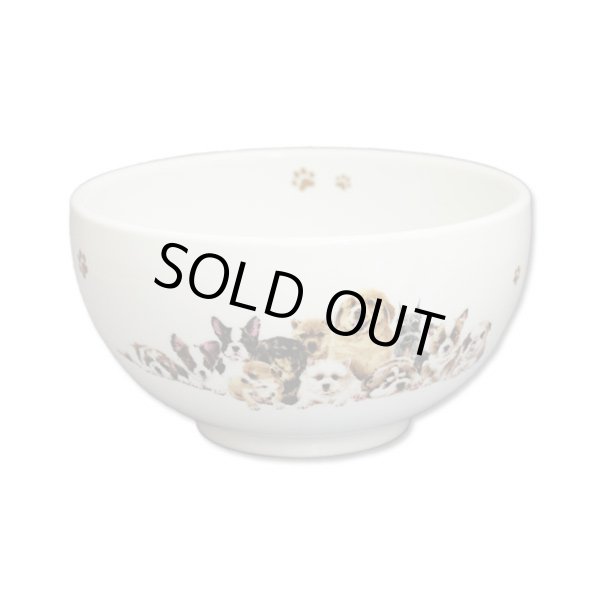 画像1: わんコレ 集合A組 どんぶり