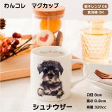 画像: わんコレ　マグカップ　【Ｓ１】シュナウザー
