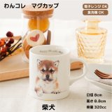 画像: わんコレ　マグカップ　【Ｓ１３】柴犬