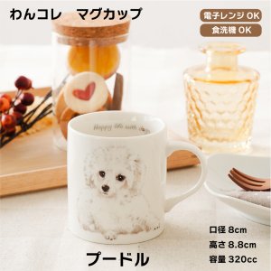 画像: わんコレ　マグカップ　【Ｓ１６】プードル