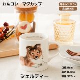 画像: わんコレ　マグカップ　【Ｓ２１】シェルティー