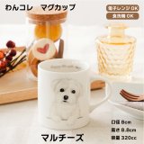 画像: わんコレ　マグカップ　【Ｓ２５】マルチーズ