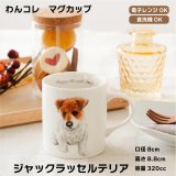 画像: わんコレ　マグカップ　【Ｓ３３】ジャックラッセルテリア