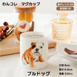 画像: わんコレ　マグカップ　【Ｓ３４】ブルドック