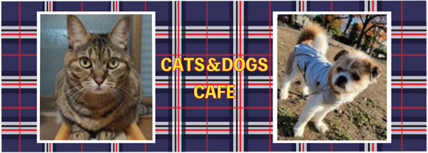 画像1: オンリー・ワン・チェック柄マグカップ